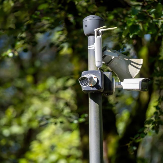 amera security cam in the park